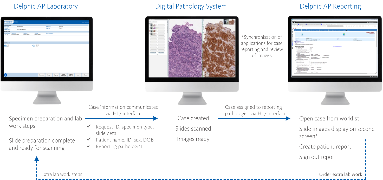 Digital Pathology Interface - India